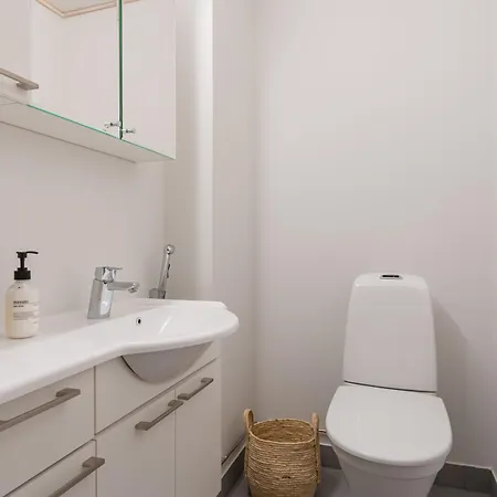 Auroralevi Sointuilevi B63, Central, Sauna, Nearby